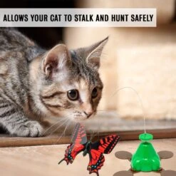 Pet Zone Fly By Spinner Interactive Cat Toy -Pawfect Care 115571 PT6. AC SS1800 V1637362199