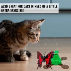 Pet Zone Fly By Spinner Interactive Cat Toy -Pawfect Care 115571 PT7. AC SS1800 V1637363831