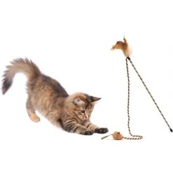 Pet Zone Bounce & Pounce Wand Cat Toy With Catnip -Pawfect Care 115580 PT3. AC SS1800 V1494270123