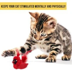 OurPets Play-N-Squeak Real Birds Cardinal Cat Toy -Pawfect Care 115715 Pt2. AC SS1800 V1583771884