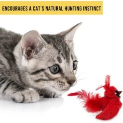 OurPets Play-N-Squeak Real Birds Cardinal Cat Toy -Pawfect Care 115715 Pt4. AC SS1800 V1583771875