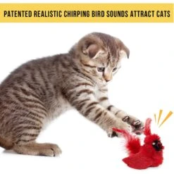 OurPets Play-N-Squeak Real Birds Cardinal Cat Toy -Pawfect Care 115715 Pt6. AC SS1800 V1583763488