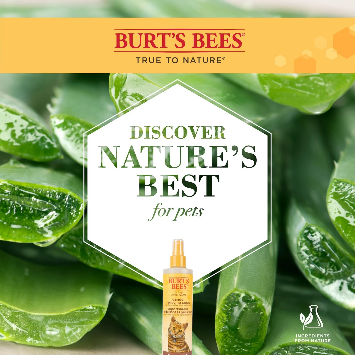 Burt's Bees Dander Reducing Cat Spray, 10-oz Bottle 6 Burt's Bees Dander Reducing Cat Spray, 10-oz Bottle - Image 4