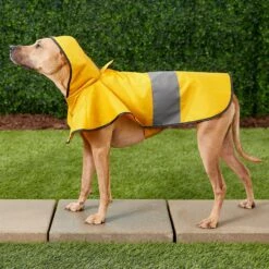 Frisco Lightweight Rainy Days Dog Raincoat -Pawfect Care 119208 PT7. AC SS1800 V1540475377