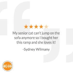 K&H Pet Products Scratch, Ramp & Track Cat Scratcher Toy With Catnip -Pawfect Care 121319 PT5. AC SS1800 V1627353689