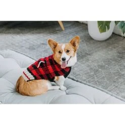 Chilly Dog Buffalo Plaid Dog & Cat Sweater -Pawfect Care 121710 PT2. AC SS1800 V1595883355