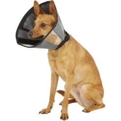 ZenPet ZenCone Soft Recovery Dog & Cat Collar