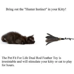 Pet Fit For Life 2 Guinea Feather Wand Cat Toy -Pawfect Care 123811 PT4. AC SS1800 V1589320679