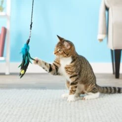 Pet Fit For Life 4 Piece Dual Rod Wand Cat Toy -Pawfect Care 123822 PT2. AC SS1800 V1589320598