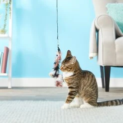 Pet Fit For Life 2 Feathers & 1 Coon Tail Wand Cat Toy -Pawfect Care 123824 PT2. AC SS1800 V1589320873