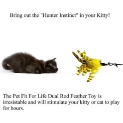 Pet Fit For Life 2 Feathers & 1 Coon Tail Wand Cat Toy -Pawfect Care 123824 PT7. AC SS1800 V1589320859