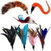 Pet Fit For Life 7 Piece Replacement Feather Pack For Wand Cat Toy -Pawfect Care 123827 MAIN. AC SS1800 V1589320865