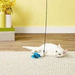 Pet Fit For Life 7 Piece Replacement Feather Pack For Wand Cat Toy -Pawfect Care 123827 PT2. AC SS1800 V1589320880