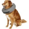 ZenPet ZenCollar Inflatable Recovery Dog & Cat Collar -Pawfect Care 124316 MAIN. AC SS1800 V1558389200