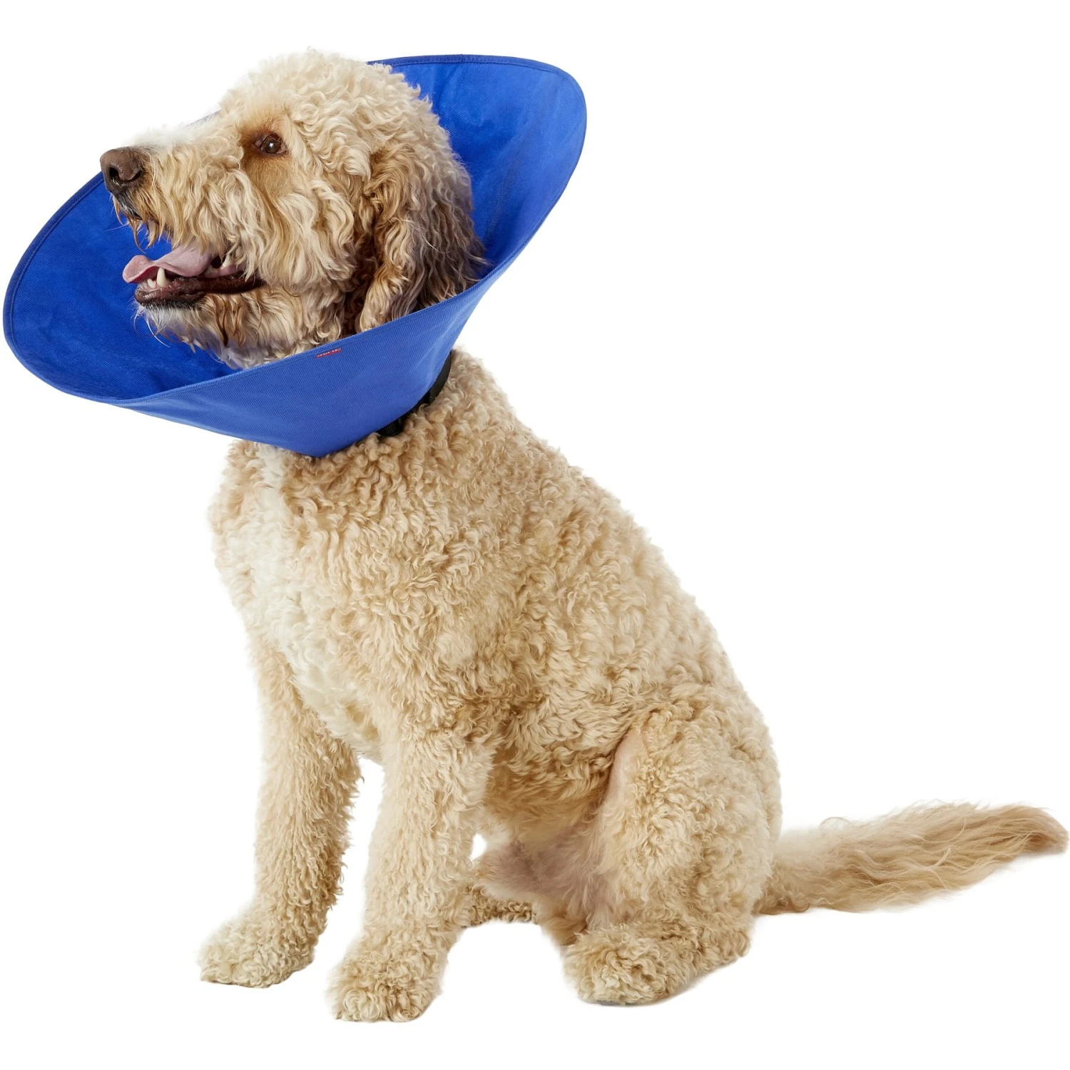 Alfie Pet Soft Recovery Dog & Cat Collar 3 Alfie Pet Soft Recovery Dog & Cat Collar