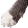 Purrdy Paws Soft Cat Nail Caps -Pawfect Care 126800 MAIN. AC SS1800 V1573054374