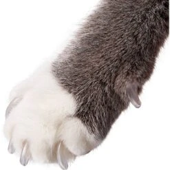 Purrdy Paws Soft Cat Nail Caps