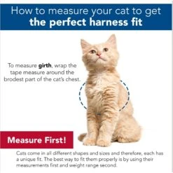 Comfort Soft Mesh Cat Harness 19 Comfort Soft Mesh Cat Harness -Pawfect Care 128175 PT8. AC SS1800 V1678124310