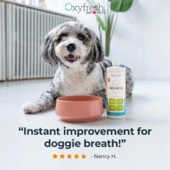 Oxyfresh Premium Pet Care Solution Cat & Dog Dental Water Additive -Pawfect Care 131403 PT2. AC SS1800 V1675693835