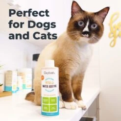 Oxyfresh Premium Pet Care Solution Cat & Dog Dental Water Additive -Pawfect Care 131403 PT4. AC SS1800 V1675693830