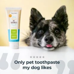 Oxyfresh Premium Vet Formulated Plaque & Tartar Cat & Dog Toothpaste, 4-oz bottle -Pawfect Care 131405 PT2. AC SS1800 V1702312674
