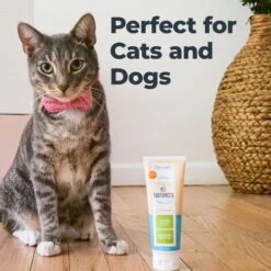 Oxyfresh Premium Vet Formulated Plaque & Tartar Cat & Dog Toothpaste, 4-oz bottle -Pawfect Care 131405 PT4. AC SS1800 V1702312732