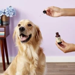Dr. Goodpet Eye-C Dog & Cat Eye Drops -Pawfect Care 131555 PT3. AC SS1800 V1543958542
