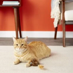 Petlinks HyperNip Wild Wooly Long Tailed Mouse Cat Toy With Catnip -Pawfect Care 132594 PT3. AC SS1800 V1595363760