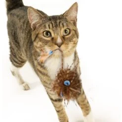 Petlinks HyperNip Wild Wooly Long Tailed Mouse Cat Toy With Catnip -Pawfect Care 132594 PT4. AC SS1800 V1595365567