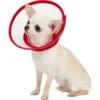 Alfie Pet Zumi Soft Edge Velcro Closure Dog & Cat Recovery Collar -Pawfect Care 134961 MAIN. AC SS1800 V1558457268