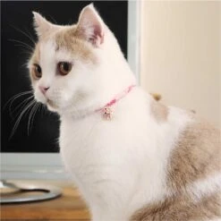 Necoichi Chirimen Clover Breakaway Cat Collar With Bell 17 Necoichi Chirimen Clover Breakaway Cat Collar With Bell -Pawfect Care 137007 PT6. AC SS1800 V1688753306