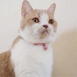 Necoichi Chirimen Clover Breakaway Cat Collar With Bell 18 Necoichi Chirimen Clover Breakaway Cat Collar With Bell -Pawfect Care 137007 PT7. AC SS1800 V1688751580