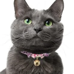 Necoichi Chirimen Fireworks Breakaway Cat Collar With Bell -Pawfect Care 137011 PT5. AC SS1800 V1688753865