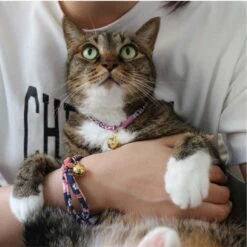 Necoichi Chirimen Fireworks Breakaway Cat Collar With Bell -Pawfect Care 137011 PT6. AC SS1800 V1688753311