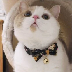 Necoichi Japanese Kimono Bow Tie Cotton Breakaway Cat Collar With Bell 12 Necoichi Japanese Kimono Bow Tie Cotton Breakaway Cat Collar With Bell -Pawfect Care 137019 PT3. AC SS1800 V1627610784