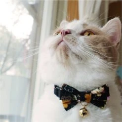 Necoichi Japanese Kimono Bow Tie Cotton Breakaway Cat Collar With Bell 13 Necoichi Japanese Kimono Bow Tie Cotton Breakaway Cat Collar With Bell -Pawfect Care 137019 PT4. AC SS1800 V1627617399