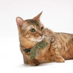 Necoichi Ninja Cotton Breakaway Cat Collar With Bell -Pawfect Care 137025 PT5. AC SS1800 V1506717148