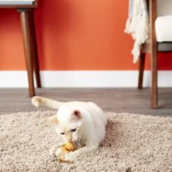 Petlinks HyperNip Love Birds Cat Toy With Catnip -Pawfect Care 137496 PT3. AC SS1800 V1595364411