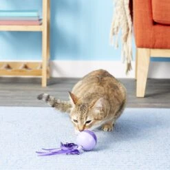 SmartyKat Twirly Top Electronic Mini Motion Ball Cat Toy, Color Varies -Pawfect Care 137508 PT5. AC SS1800 V1525718252