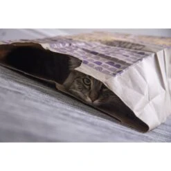 SmartyKat Cat Caves Catnip Infused Paper Bags, 2 Count -Pawfect Care 137534 PT2. AC SS1800 V1599754678