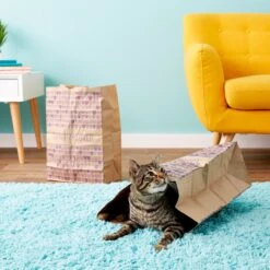 SmartyKat Cat Caves Catnip Infused Paper Bags, 2 Count -Pawfect Care 137534 PT5. AC SS1800 V1525718344