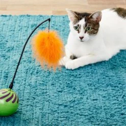 SmartyKat Universal Replacement Wand Cat Toy -Pawfect Care 137641 PT3. AC SS1800 V1545250733