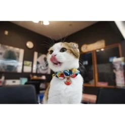 Necoichi Chirimen Daruma Charm Breakaway Cat Collar With Bell -Pawfect Care 138927 PT4. AC SS1800 V1510603687
