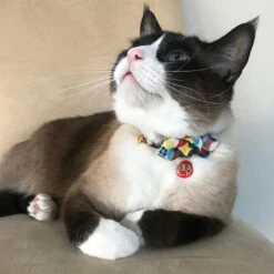 Necoichi Chirimen Daruma Charm Breakaway Cat Collar With Bell -Pawfect Care 138927 PT5. AC SS1800 V1510603688