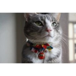 Necoichi Chirimen Daruma Charm Breakaway Cat Collar With Bell -Pawfect Care 138927 PT6. AC SS1800 V1510603711