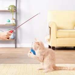 Hartz Just For Cats Kitty Caster Cat Wand Toy With Catnip, Color Varies -Pawfect Care 139105 PT2. AC SS1800 V1589230928