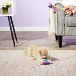 Hartz Just For Cats Twirl & Whirl Cat Wand Toy With Catnip, Color Varies -Pawfect Care 139109 PT2. AC SS1800 V1589230967