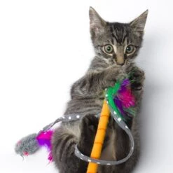 Hartz Just For Cats Twirl & Whirl Cat Wand Toy With Catnip, Color Varies -Pawfect Care 139109 PT4. AC SS1800 V1589230971
