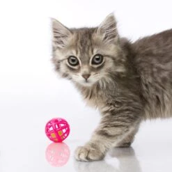 Hartz Just For Cats Toy Variety Pack, 13 Count -Pawfect Care 139111 PT3. AC SS1800 V1589230986