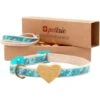 Pettsie Heart Cotton Breakaway Cat Collar With Friendship Bracelet -Pawfect Care 139120 MAIN. AC SS1800 V1521470609